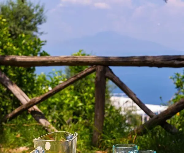 Ada * Sorrento